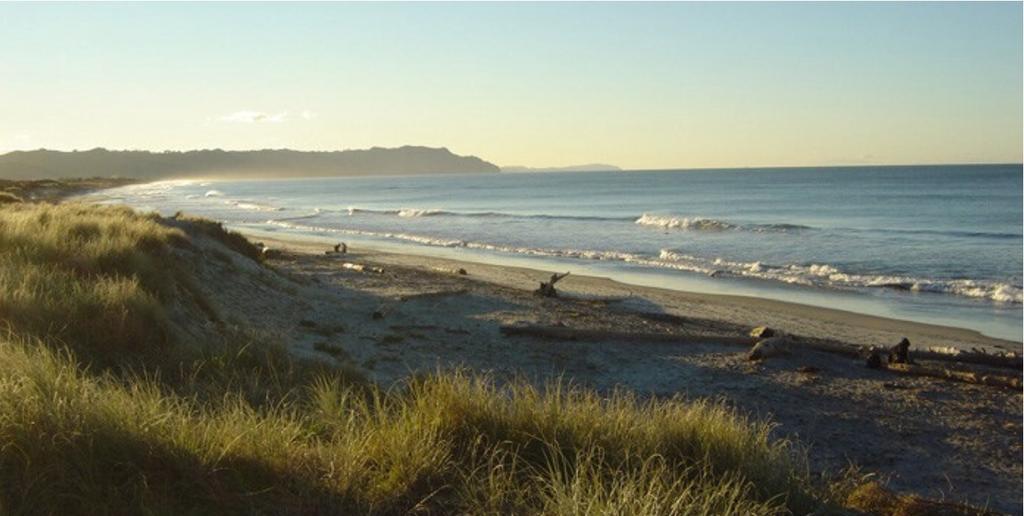 Two Bare Feet Apartamento Waihi Exterior foto