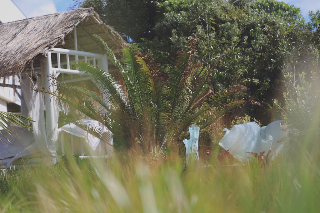 Two Bare Feet Apartamento Waihi Exterior foto